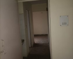 1292524_5